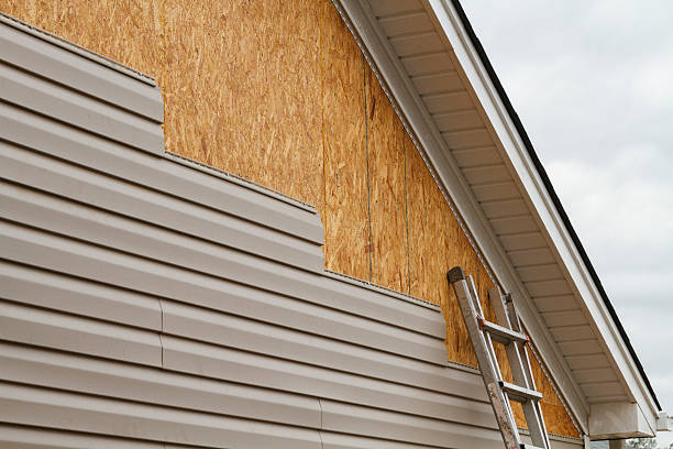 Professional Siding Inspection technician working in Glencoe, IL